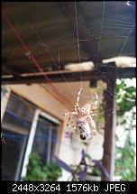 Kamera (Video- und Fotoqualität) vom Galaxy S III-20120820_190359.jpg