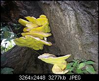 Kamera (Video- und Fotoqualität) vom Galaxy S III-20120822_144911.jpg