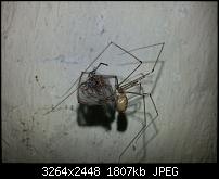 Kamera (Video- und Fotoqualität) vom Galaxy S III-20120822_151833.jpg