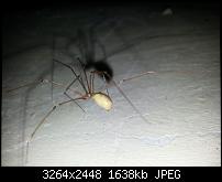 Kamera (Video- und Fotoqualität) vom Galaxy S III-20120822_151917.jpg