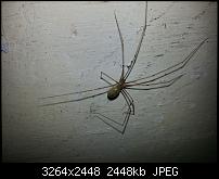 Kamera (Video- und Fotoqualität) vom Galaxy S III-20120822_151940.jpg