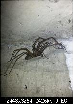 Kamera (Video- und Fotoqualität) vom Galaxy S III-20120822_163527.jpg