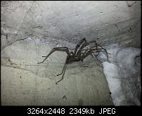 Kamera (Video- und Fotoqualität) vom Galaxy S III-20120822_163535.jpg