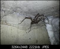 Kamera (Video- und Fotoqualität) vom Galaxy S III-20120822_163545.jpg