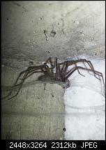 Kamera (Video- und Fotoqualität) vom Galaxy S III-20120822_165105.jpg