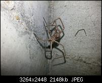 Kamera (Video- und Fotoqualität) vom Galaxy S III-20120822_165156.jpg