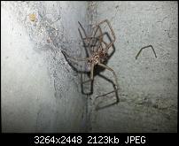 Kamera (Video- und Fotoqualität) vom Galaxy S III-20120822_165207.jpg