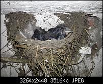 Kamera (Video- und Fotoqualität) vom Galaxy S III-20120826_181826.jpg