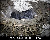 Kamera (Video- und Fotoqualität) vom Galaxy S III-20120826_181916.jpg