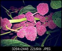 Kamera (Video- und Fotoqualität) vom Galaxy S III-20120901_201511.jpg