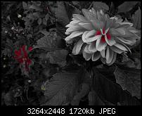 Kamera (Video- und Fotoqualität) vom Galaxy S III-20120901_201749.jpg