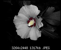 Kamera (Video- und Fotoqualität) vom Galaxy S III-20120901_201844.jpg