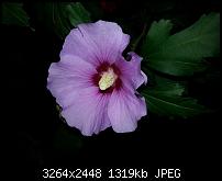 Kamera (Video- und Fotoqualität) vom Galaxy S III-20120901_201928.jpg