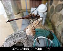 Kamera (Video- und Fotoqualität) vom Galaxy S III-0492b-korea2012-.jpg