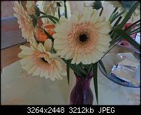 Kamera (Video- und Fotoqualität) vom Galaxy S III-20120921_111148.jpg