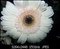 Kamera (Video- und Fotoqualität) vom Galaxy S III-20120921_111201.jpg