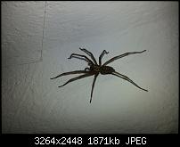 Kamera (Video- und Fotoqualität) vom Galaxy S III-20120929_000834.jpg