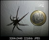 Kamera (Video- und Fotoqualität) vom Galaxy S III-20120929_001629.jpg