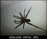 Kamera (Video- und Fotoqualität) vom Galaxy S III-20120929_002421.jpg