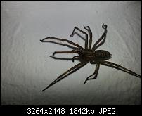 Kamera (Video- und Fotoqualität) vom Galaxy S III-20120929_002051.jpg