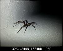 Kamera (Video- und Fotoqualität) vom Galaxy S III-20120929_001219.jpg