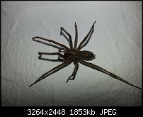 Kamera (Video- und Fotoqualität) vom Galaxy S III-20120929_001942.jpg