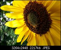 Kamera (Video- und Fotoqualität) vom Galaxy S III-20120921_154208.jpg