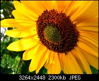 Kamera (Video- und Fotoqualität) vom Galaxy S III-20120921_154316.jpg