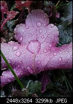 Kamera (Video- und Fotoqualität) vom Galaxy S III-20121004_173752.jpg