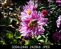 Kamera (Video- und Fotoqualität) vom Galaxy S III-20120930_162952.jpg