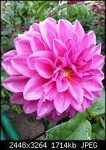 Kamera (Video- und Fotoqualität) vom Galaxy S III-20121007_153413.jpg