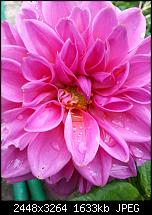 Kamera (Video- und Fotoqualität) vom Galaxy S III-20121007_153418.jpg