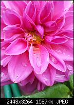 Kamera (Video- und Fotoqualität) vom Galaxy S III-20121007_153425.jpg