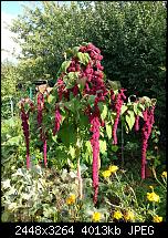 Kamera (Video- und Fotoqualität) vom Galaxy S III-20121007_153439.jpg