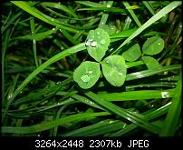 Kamera (Video- und Fotoqualität) vom Galaxy S III-20121007_163502.jpg