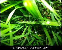 Kamera (Video- und Fotoqualität) vom Galaxy S III-20121007_163135.jpg