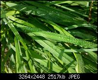 Kamera (Video- und Fotoqualität) vom Galaxy S III-20121008_114034.jpg