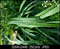 Kamera (Video- und Fotoqualität) vom Galaxy S III-20121008_125603.jpg