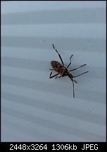 Kamera (Video- und Fotoqualität) vom Galaxy S III-20121019_155633.jpg