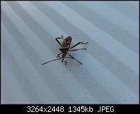 Kamera (Video- und Fotoqualität) vom Galaxy S III-20121019_155707.jpg