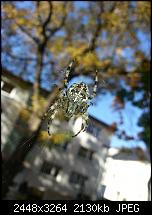 Kamera (Video- und Fotoqualität) vom Galaxy S III-20121021_130019.jpg