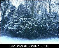 Kamera (Video- und Fotoqualität) vom Galaxy S III-20121209_083359.jpg