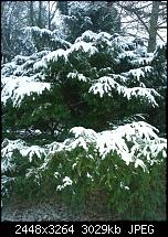 Kamera (Video- und Fotoqualität) vom Galaxy S III-20121209_083432.jpg