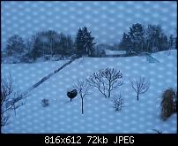 Kamera (Video- und Fotoqualität) vom Galaxy S III-uploadfromtaptalk1355066337630.jpg