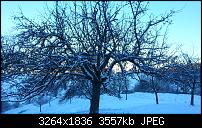 Kamera (Video- und Fotoqualität) vom Galaxy S III-4.jpg