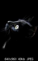 Zeigt her Eure Bildschirme!-img_0183.jpg