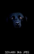 Zeigt her Eure Bildschirme!-bild-018.jpg