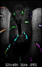 Zeigt her Eure Bildschirme!-img_0122.jpg