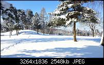 Kamera (Video- und Fotoqualität) vom Galaxy S III-2013-02-10-13.41.38.jpg