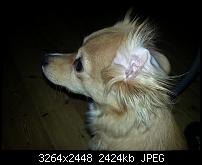 Kamera (Video- und Fotoqualität) vom Galaxy S III-20130213_194410.jpg